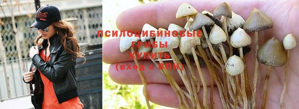 а пвп мука Абинск