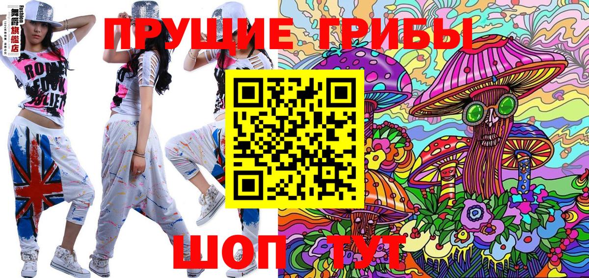 Галлюциногенные грибы Psilocybe Камышлов