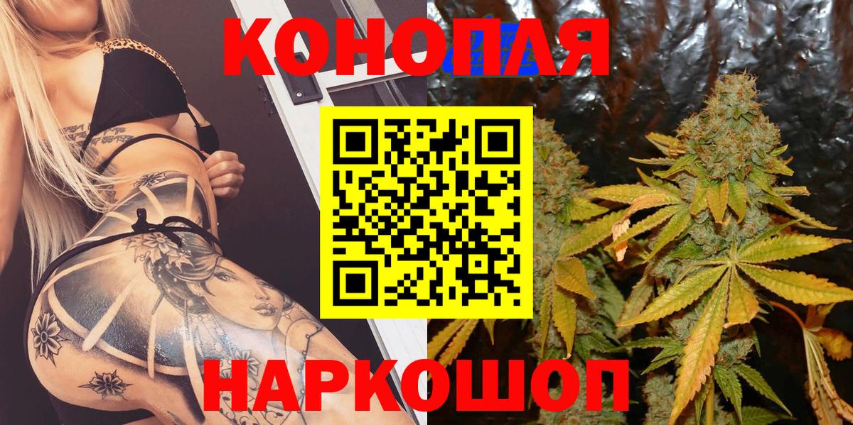 Бошки марихуана марихуана  Канабис планчик  Камышлов  Вход с VPN 
